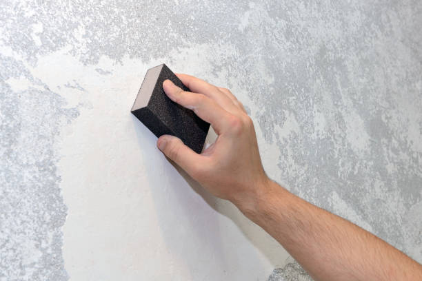 Best Environmental Consulting for Mold Prevention  in Hope, AR