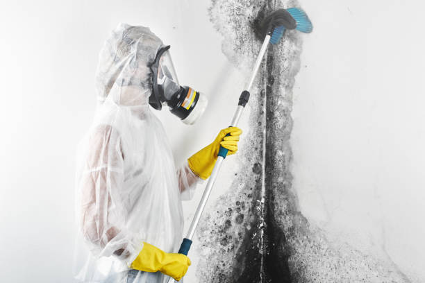 Best Post-Remediation Verification Testing  in Hope, AR