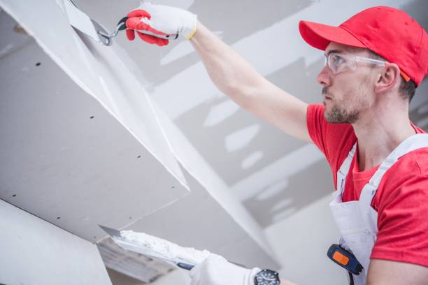 Best Water Damage & Mold Remediation  in Hope, AR